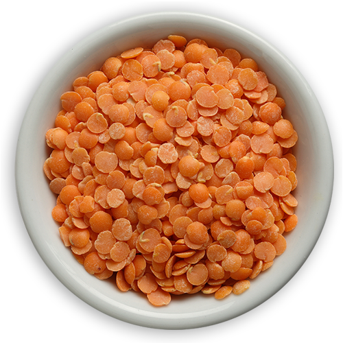definition_redlentils Pulses - Image 1