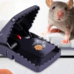 Heavy Duty Plastic Mouse Trap | - Image 2