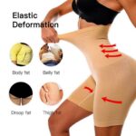 Seamless High Waist Slimming Lower Body Shaper Tummy Control Panties Knickers Panty Shapewear Underwear Half Body Shaper - Free Size