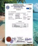 Blemish Be Gone Anti-Acne Serum - Image 2