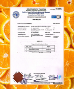 Arbutin C Brightening Solution - Image 2